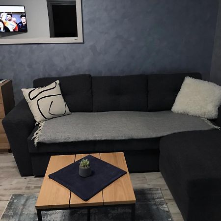 Homely Apartment Suceava Esterno foto
