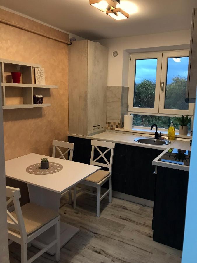Homely Apartment Suceava Esterno foto