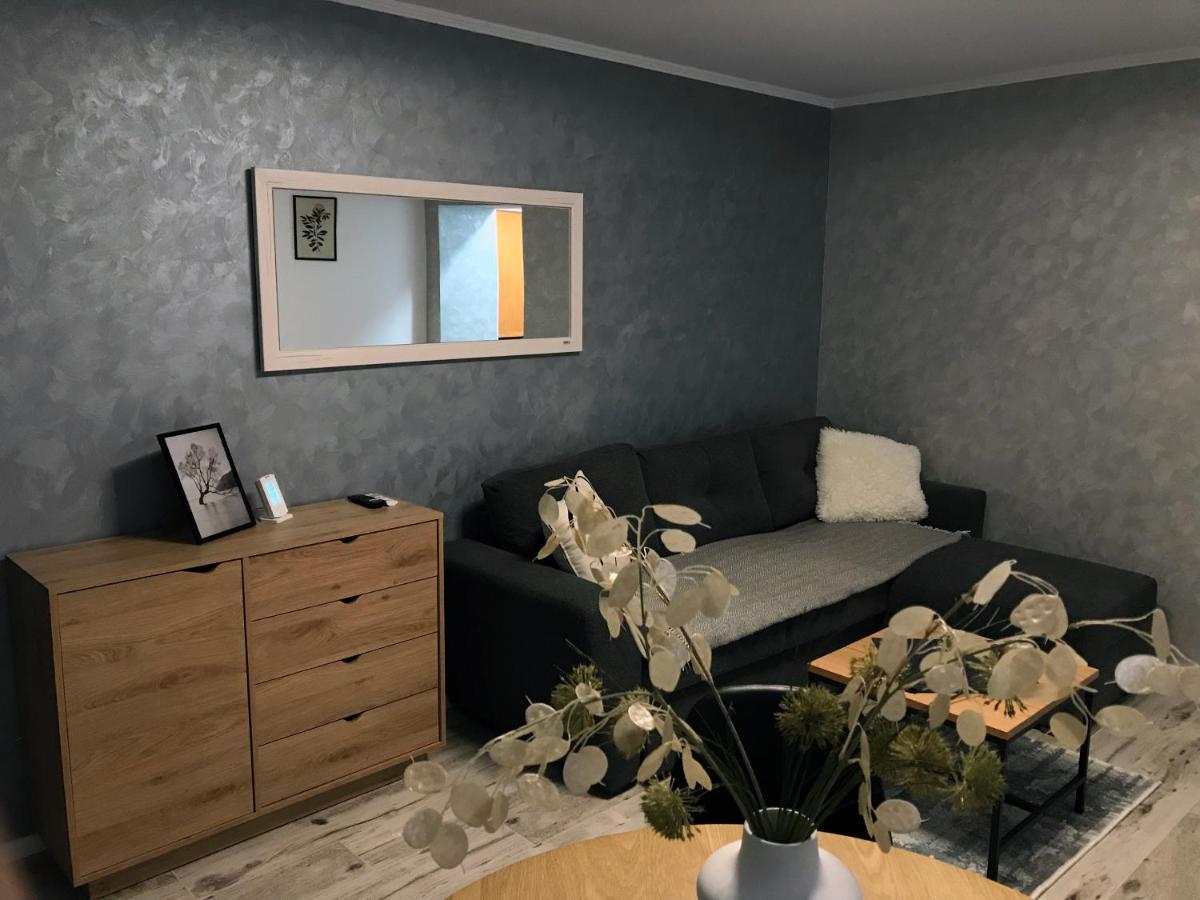 Homely Apartment Suceava Esterno foto